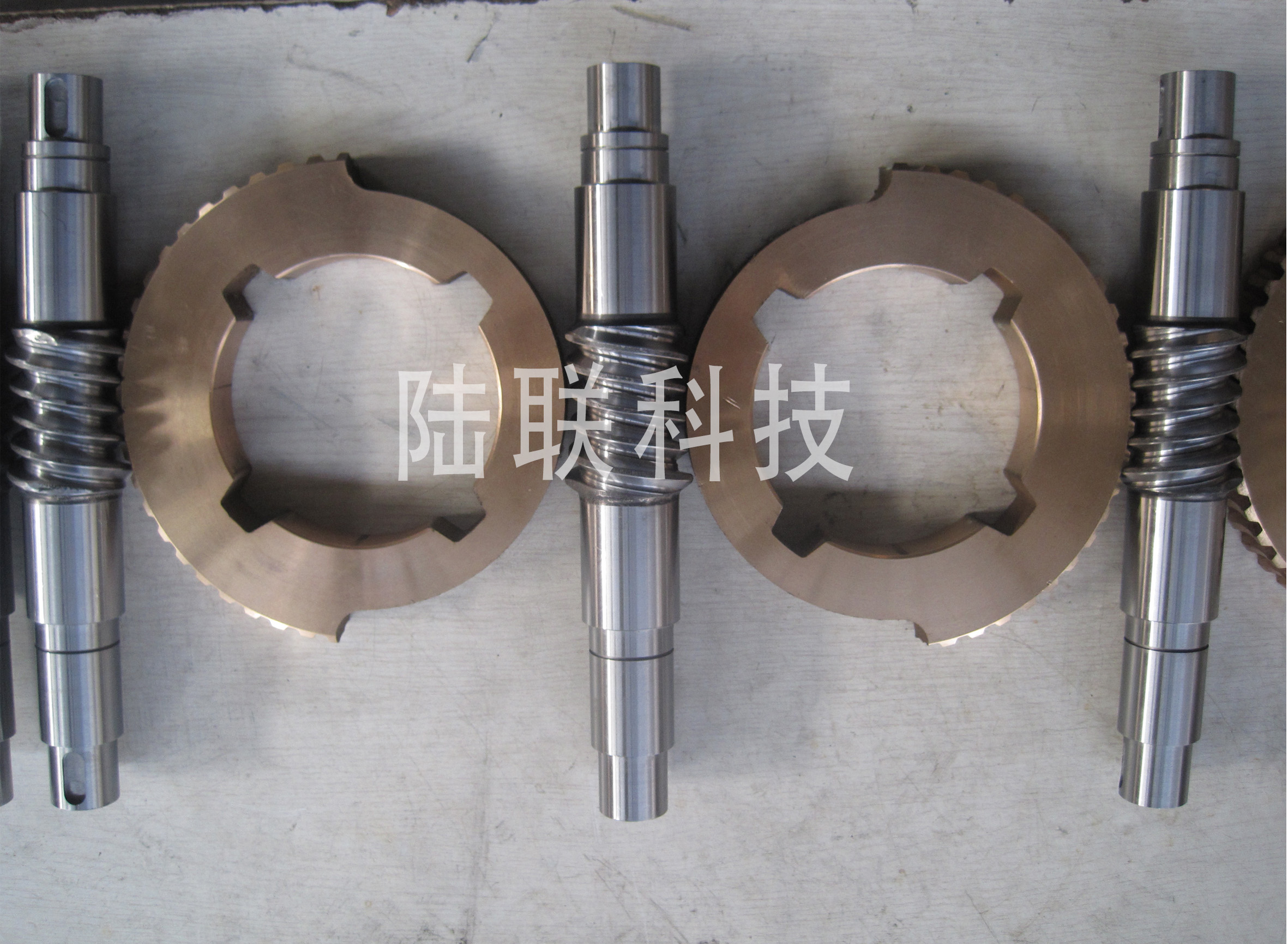 左右旋蜗轮蜗杆.jpg